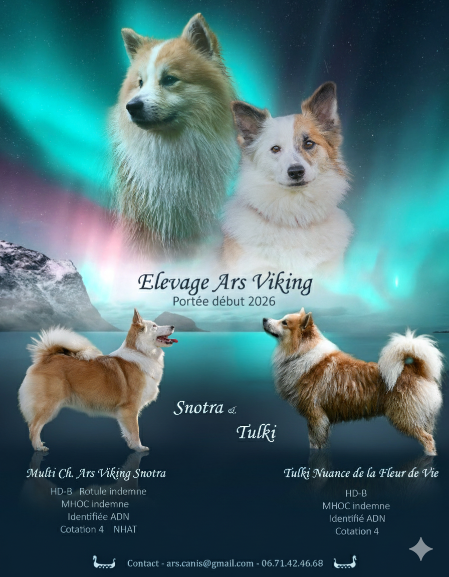 Portée prévu début 2026